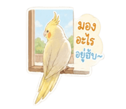 841614394