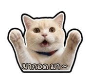 841615477