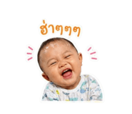 841616023