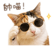 841616081