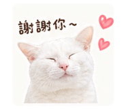 841618460