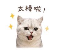 841619195