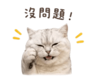841619196