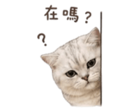841619197