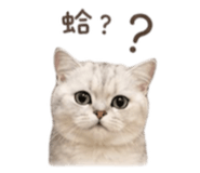 841619201