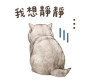 841619207