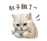 841619210