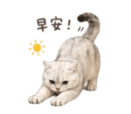 841619211