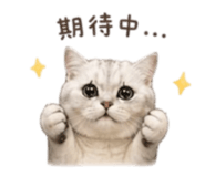 841619212