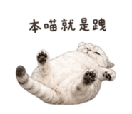 841619217