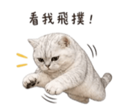 841619219