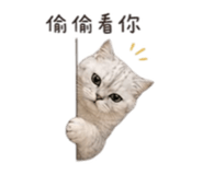 841619220