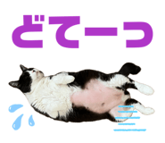 841619455