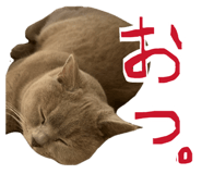 841620670