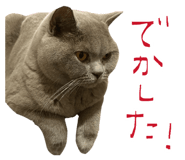 841620671