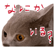 841620672