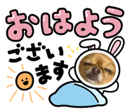 841621556