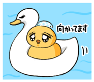 841622625