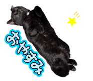 841623085