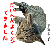 841623090