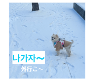 841623501