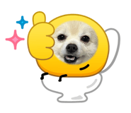 841623511