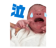 841623553
