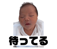 841623562
