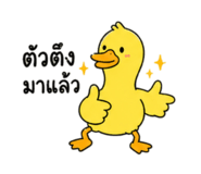 841623801