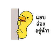 841623812