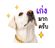 841623992