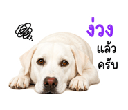 841623996