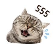 841624491