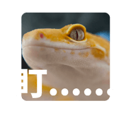 841626233