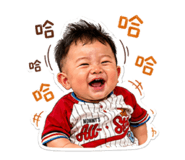 841626404