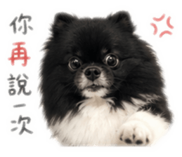 841626629