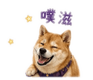 841626942