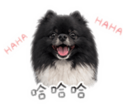 841627020