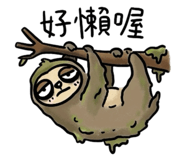 841627678