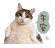841627810