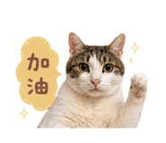 841627815