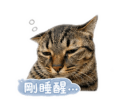 841627877