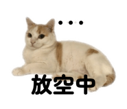 841628108