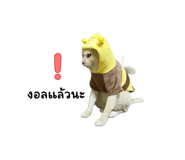 841629006