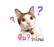 841629925