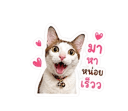 841629930