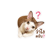 841629940