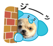 841630396