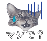 841630736
