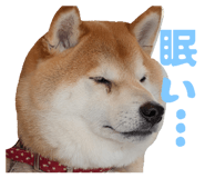 841630737